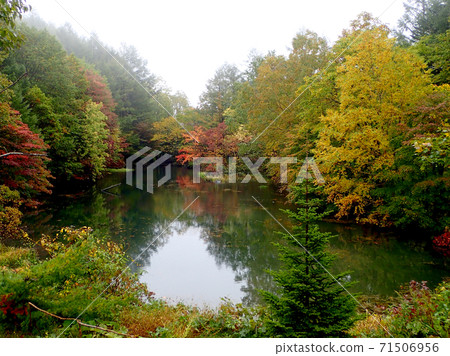 Autumn leaves of Matsukawa Onsen Gohanuma Autumn leaves of Matsukawa Onsen Gohanuma 71506956