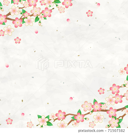 櫻花和日本紙盛開的背景素材,矢量插圖框架/方形 櫻花和日本紙盛開的背景素材,矢量插圖框架/方形 71507382