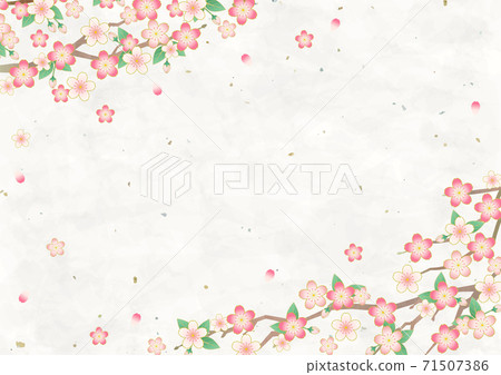 櫻花盛開的背景材料和日本紙,矢量插圖框架/ A4水平 櫻花盛開的背景材料和日本紙,矢量插圖框架/ A4水平 71507386