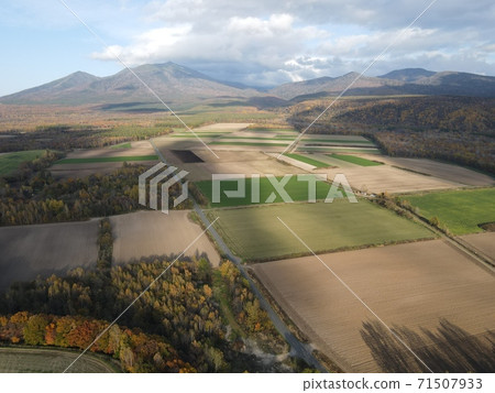 北海道的秋天風景 71507933