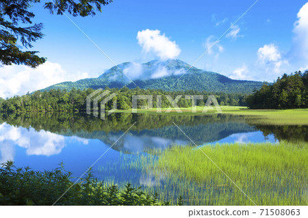 Ozenuma and Hiuchigatake that shine in the blue sky Ozenuma and Hiuchigatake that shine in the blue sky 71508063