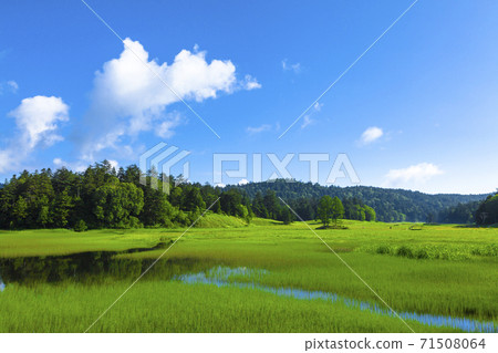 Oe Marsh shining green Oe Marsh shining green 71508064
