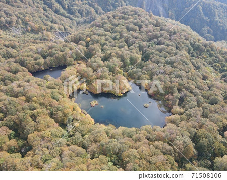 鶴丸池塘在秋天的顏色（山托魯米） 71508106