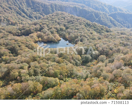 鶴丸池塘在秋天的顏色(山托魯米) 鶴丸池塘在秋天的顏色(山托魯米) 71508113