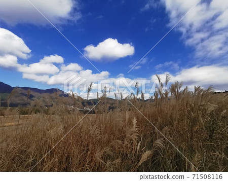 箱根仙石原Susuki Prairie 71508116