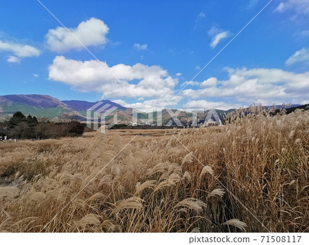 箱根仙石原Susuki Prairie 箱根仙石原Susuki Prairie 71508117