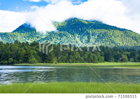 夏天的大沼和Hirugatake 夏天的大沼和Hirugatake 71508315