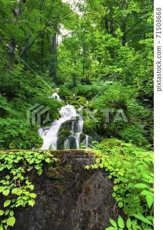 Shimizu of Nashizaka full of greenery 71508668