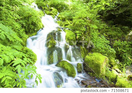 綠化的中坂清水 71508671