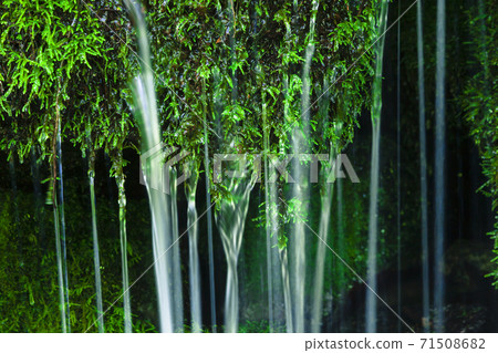 Shimizu of Nashizaka full of greenery 71508682