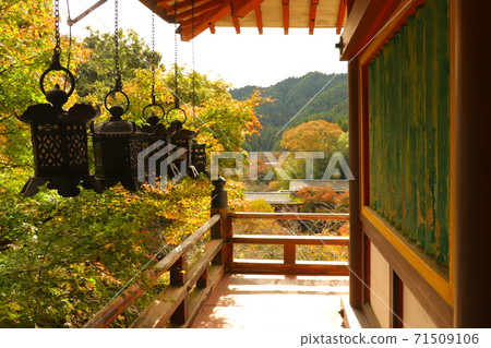 Tanzan Shrine, Nara Prefecture The lanterns of the hall of worship 71509106