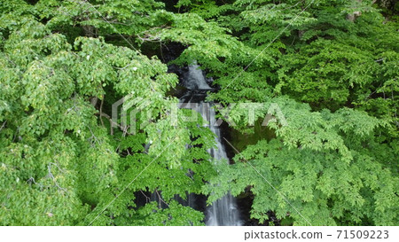 Tamasudare Falls 71509223