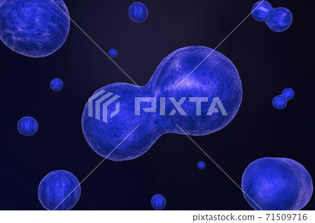 Cell Division 71509716