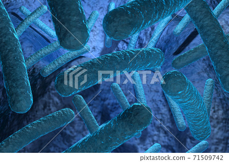 Bacteria.. 71509742