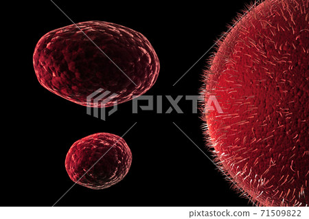 Viruses concept.. Viruses concept.. 71509822