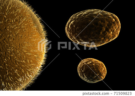 Viruses concept... Viruses concept... 71509823