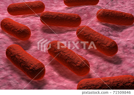 E coli Bacteria. 71509846