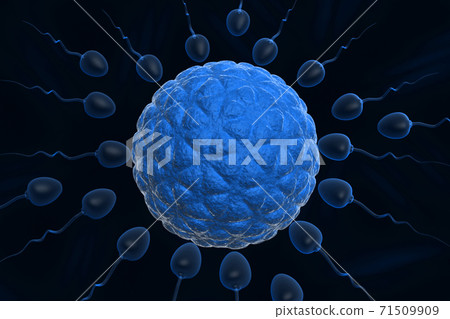 3d Human egg insemination. 71509909