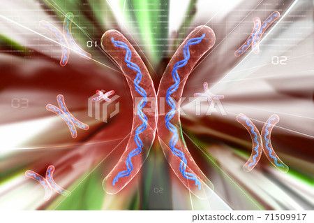 chromosome in abstract background. chromosome in abstract background. 71509917