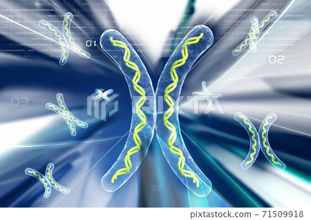 chromosome in abstract background chromosome in abstract background 71509918