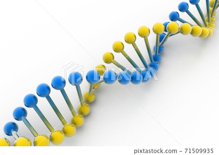 dna spiral in a white back ground.. 71509935