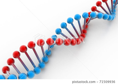 dna spiral in a white back ground.. 71509936