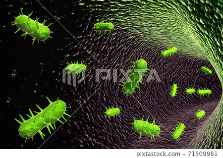 Viruses. Viruses. 71509981