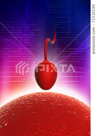 Sperm cell trying to reach an human ovum 71510199