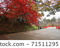 Autumn leaves ~ Hirosaki Park ~ 71511295