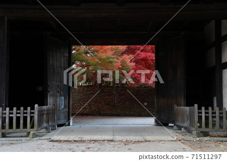 秋葉〜弘前公園〜 秋葉〜弘前公園〜 71511297