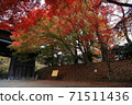 Autumn leaves ~ Hirosaki Park ~ 71511436