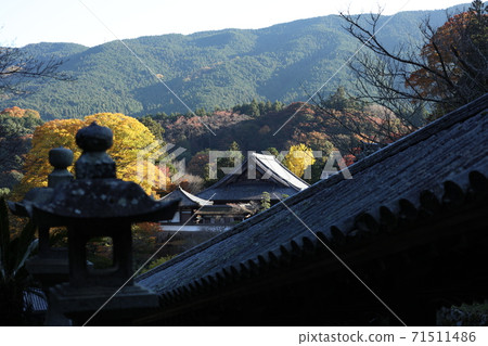 Nara Hasedera Nara Hasedera 71511486