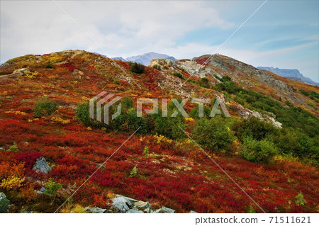 德納利國家公園希利山山脊上的一條山路 71511621