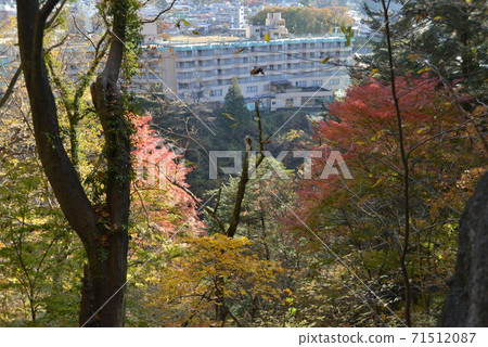 在一個晴朗無雲的秋日,我去了“ Kinugawa Onsen”,從清晨起我就和Nikko Toshogu一起走了。 在一個晴朗無雲的秋日,我去了“ Kinugawa Onsen”,從清晨起我就和Nikko Toshogu一起走了。 71512087