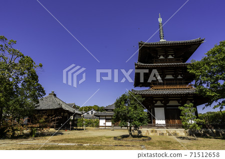 Hokiji Temple, Ikaruga Town, Ikoma District, Nara Prefecture 71512658