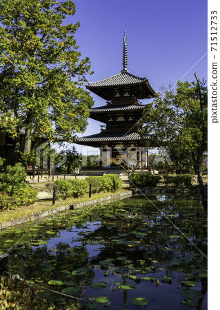 奈良縣生駒郡Ikaruga町Hokiji Mie Tower 71512733