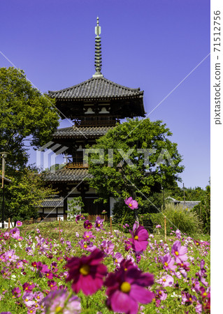 奈良縣生駒郡Ikaruga町Hokiji Mie Tower 奈良縣生駒郡Ikaruga町Hokiji Mie Tower 71512756