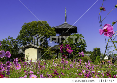 奈良縣生駒郡Ikaruga町Hokiji Mie Tower 奈良縣生駒郡Ikaruga町Hokiji Mie Tower 71512757