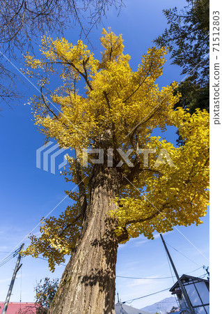 Shingu Kumano Shrine, Nagadoko Daiginko, Kitakata City, Fukushima Prefecture 71512803