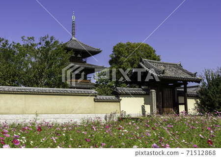 奈良縣生駒郡南大門法基寺 奈良縣生駒郡南大門法基寺 71512868