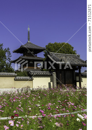 Hokiji Temple Namdaemun, Ikaruga Town, Ikoma District, Nara Prefecture 71512871