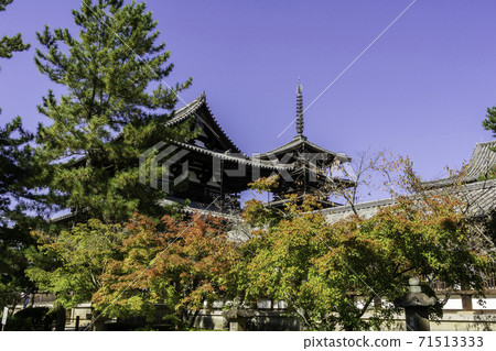 奈良縣生駒郡依賀賀町五ory塔 71513333