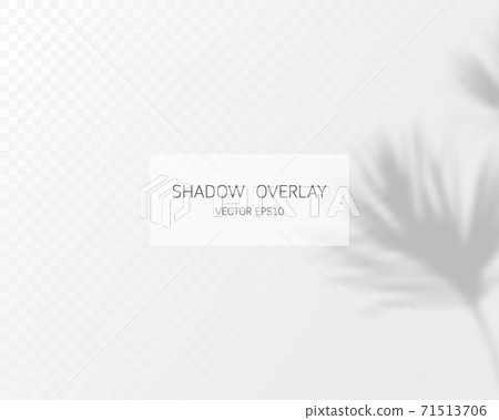 Shadow overlay effect. Natural shadows isolated on transparent background. Vector illustration.  71513706