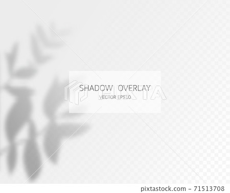 Shadow overlay effect. Natural shadows isolated on transparent background. Vector illustration.  71513708