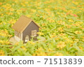 A small cute house surrounded by yellow flower fields 71513839