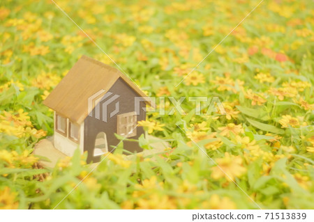 A small cute house surrounded by yellow flower fields 71513839