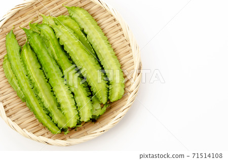 Shikakamame(Urips bean) Shikakamame(Urips bean) 71514108