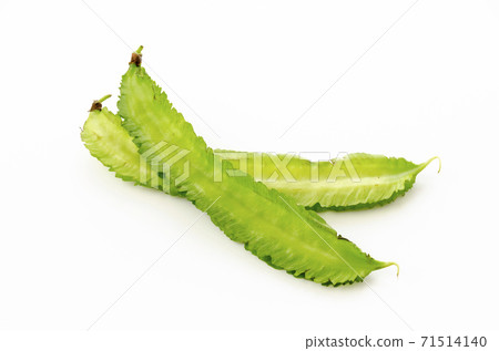 Shikakamame (Urips bean) 71514140