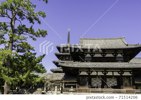 奈良縣生駒郡Ikaruga-cho Ikaruga町Horyuji Temple Nakamon 奈良縣生駒郡Ikaruga-cho Ikaruga町Horyuji Temple Nakamon 71514206