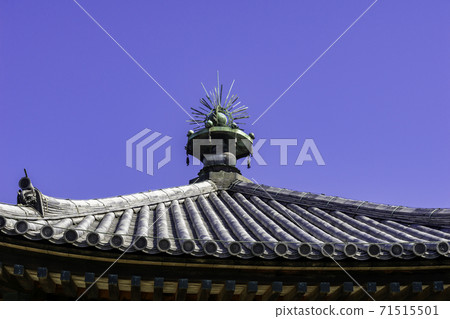 Horyuji Temple Yumeden, Ikaruga Town, Ikoma District, Nara Prefecture 71515501